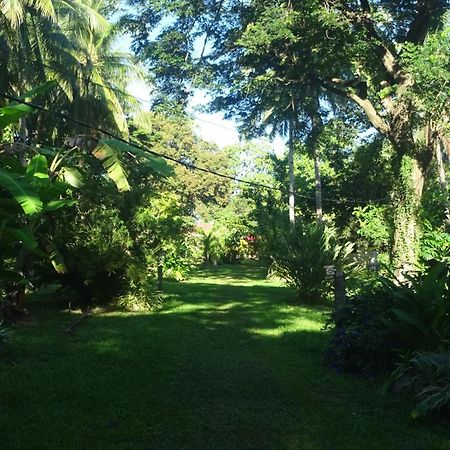 Acacia'S Cottages With Starlink Wifi Mambajao Buitenkant foto