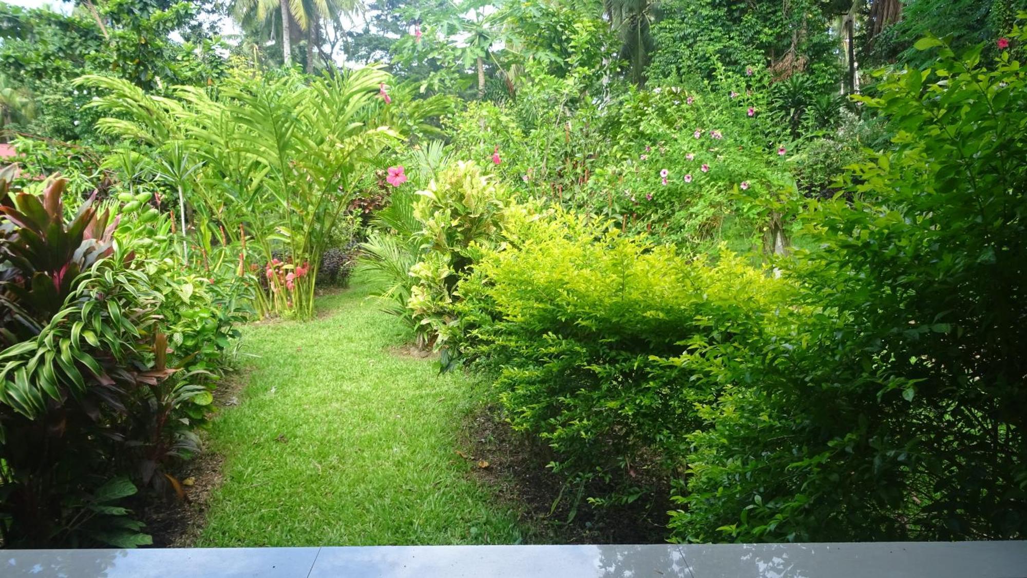 Acacia'S Cottages With Starlink Wifi Mambajao Buitenkant foto