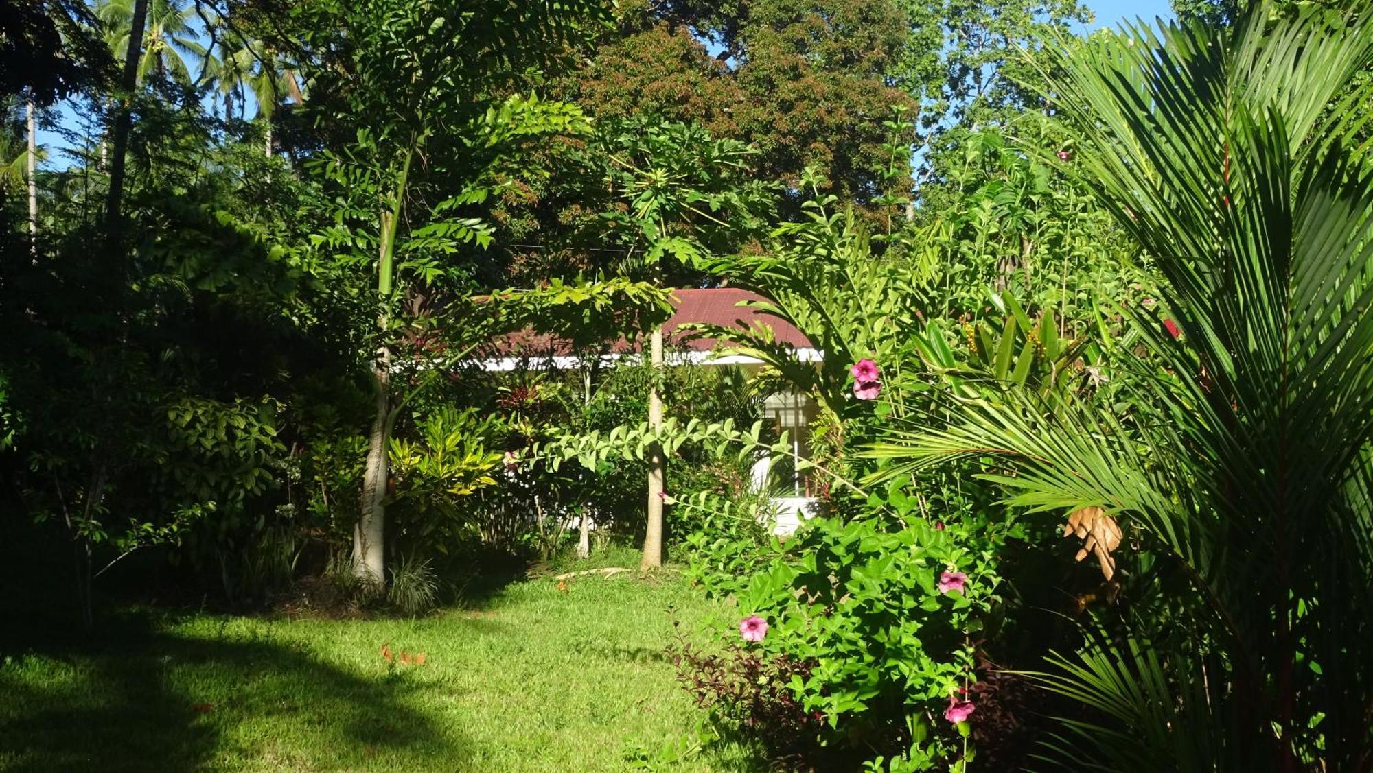 Acacia'S Cottages With Starlink Wifi Mambajao Buitenkant foto